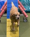 20260104-acnh-0397