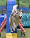 20260104-acnh-0412