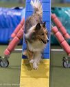 20260104-acnh-0427