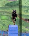 20260104-acnh-0429
