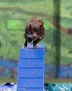 20260104-acnh-0434