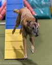 20260104-acnh-0446