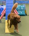 20260104-acnh-0464