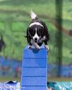 20260104-acnh-0465