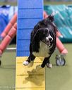 20260104-acnh-0477