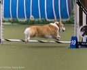20260104-acnh-0501