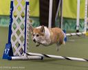 20260104-acnh-0502