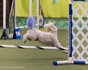 20260104-acnh-0512