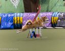 20260104-acnh-0536
