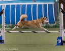 20260104-acnh-0539