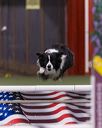 20260104-acnh-0558