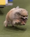20260221-0338