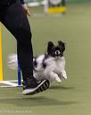 20260221-0347