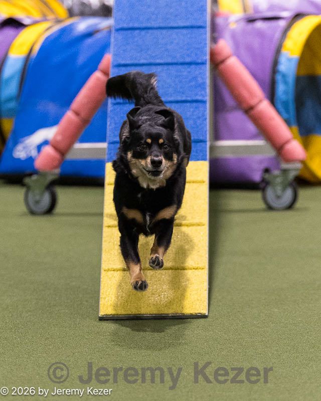20260221-0396.jpg