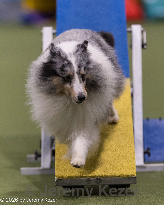 20260221-0477.jpg