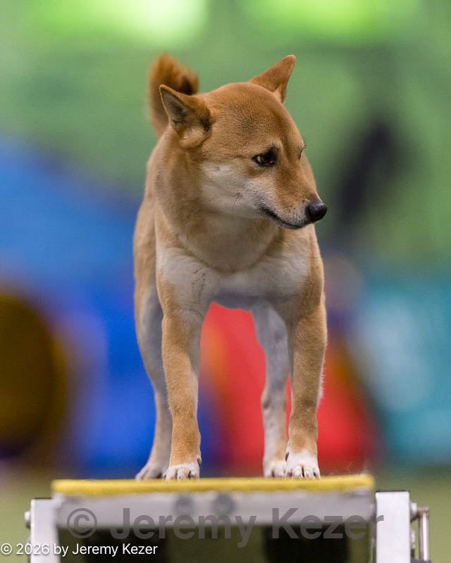 20260221-0491.jpg
