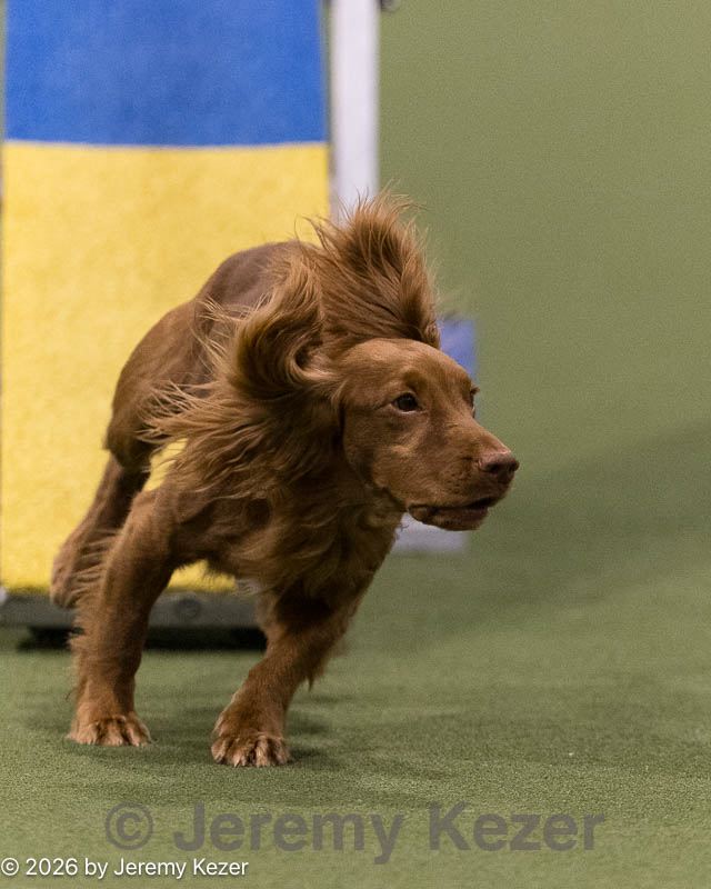 20260221-0498.jpg