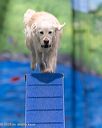 20260221-0587
