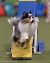 20260221-0649
