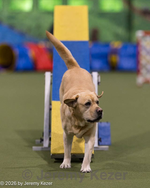 20260221-0550.jpg