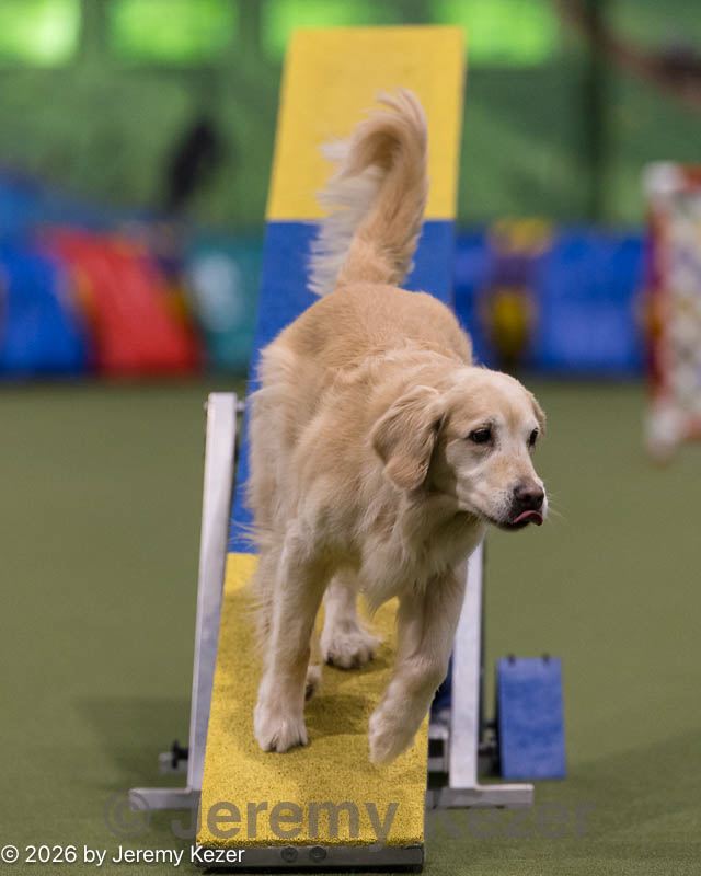 20260221-0617.jpg