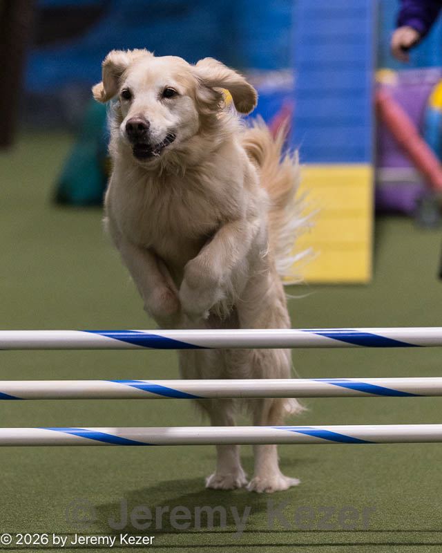 20260221-0624.jpg