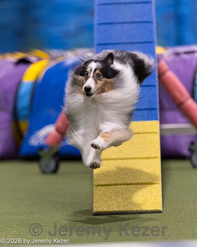 20260221-0654.jpg