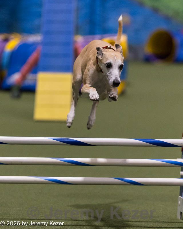 20260221-0677.jpg