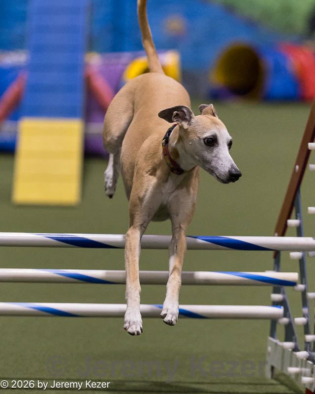 20260221-0678.jpg