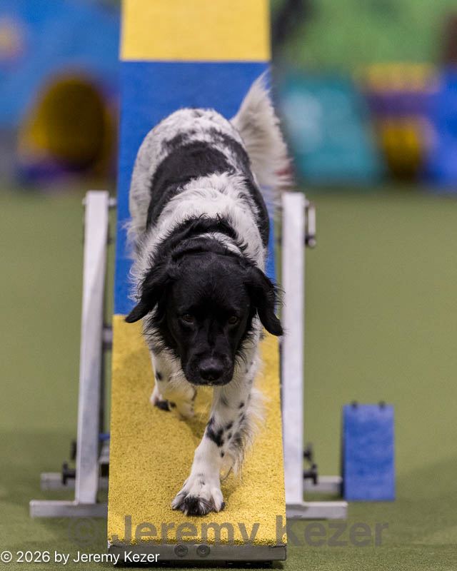 20260221-0689.jpg