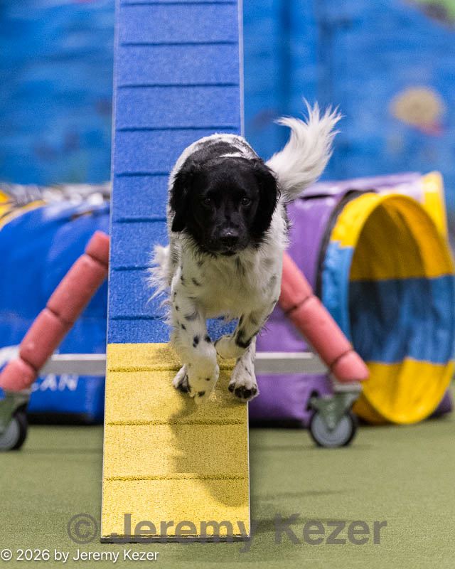 20260221-0693.jpg