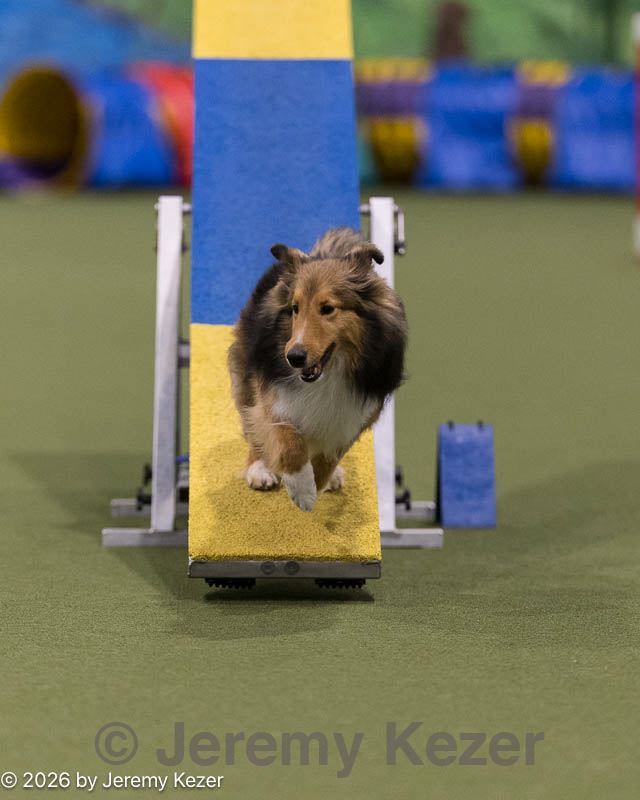 20260221-0728.jpg