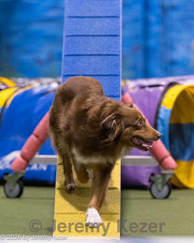 20260221-0763.jpg