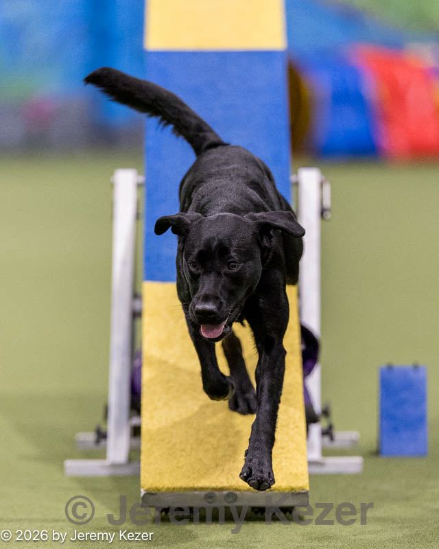 20260221-0792.jpg