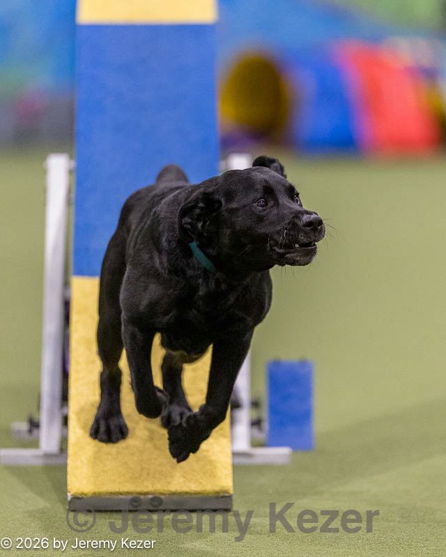 20260221-0904.jpg