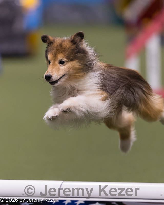 20260221-0010.jpg
