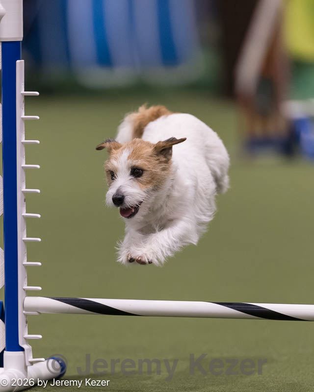 20260221-0017.jpg