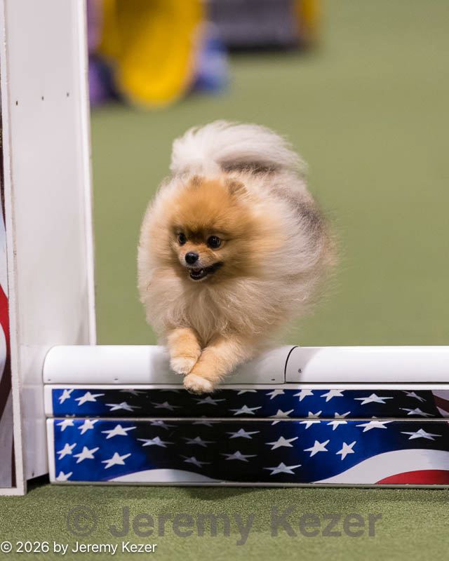 20260221-0021.jpg