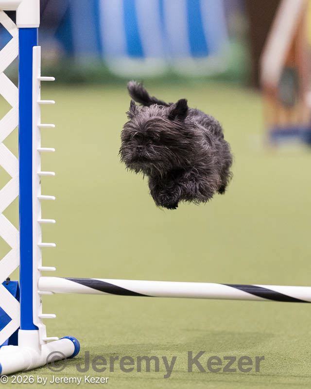 20260221-0026.jpg