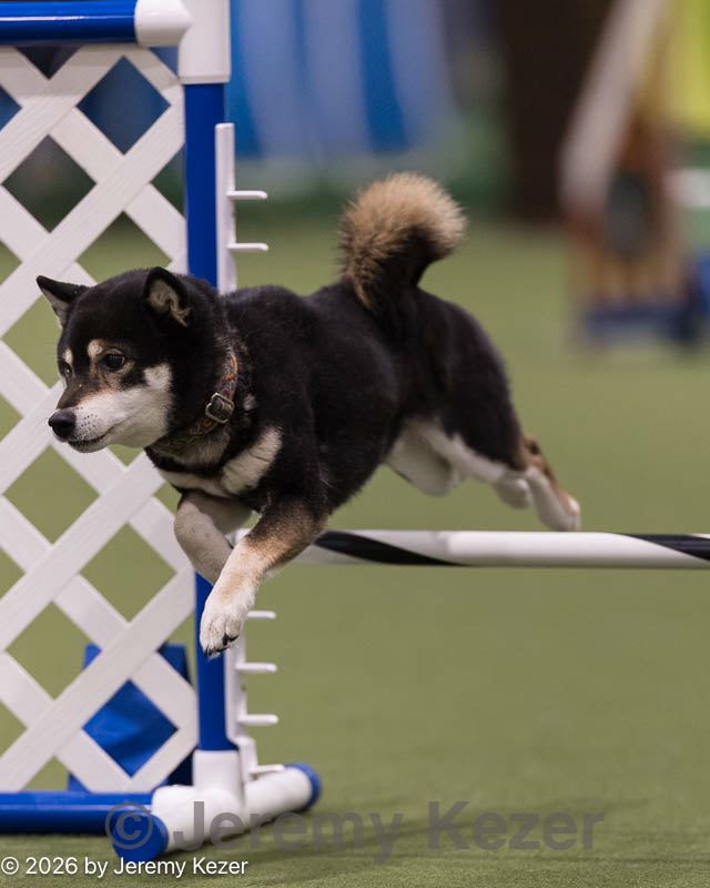 20260221-0049.jpg