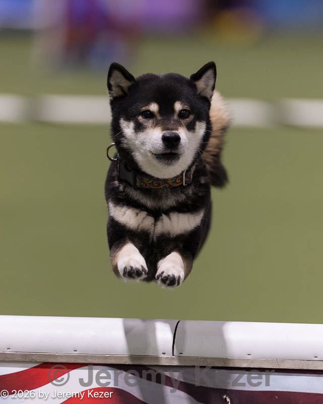 20260221-0051.jpg