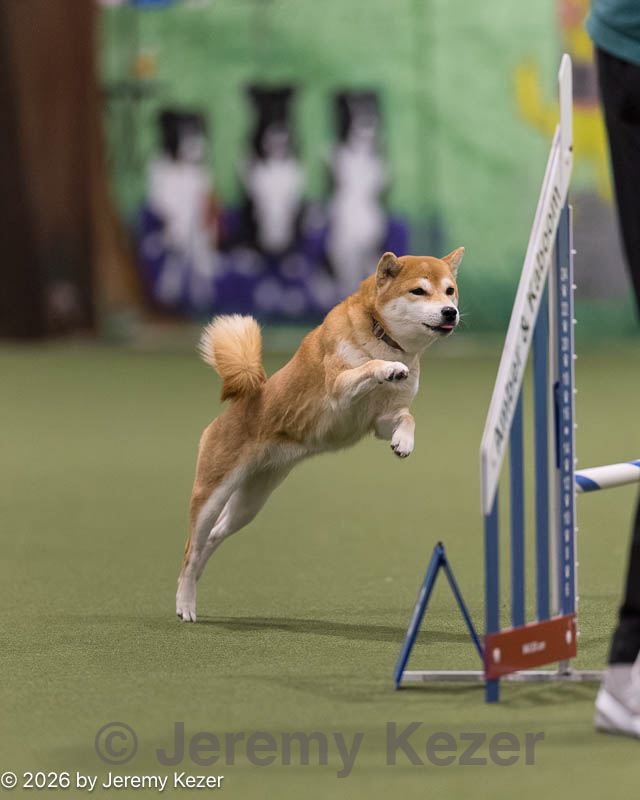 20260221-0063.jpg