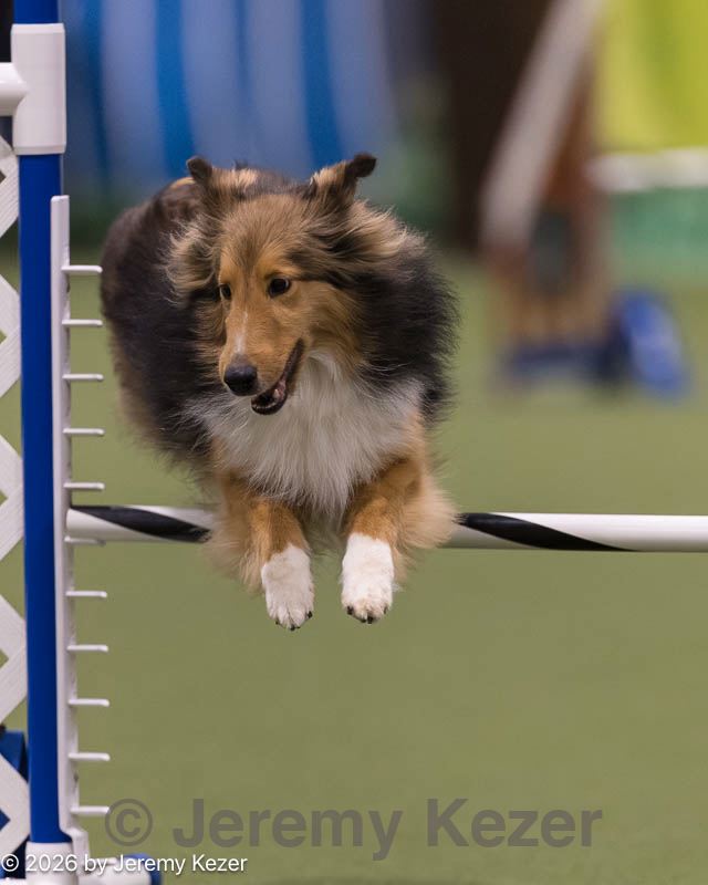 20260221-0083.jpg