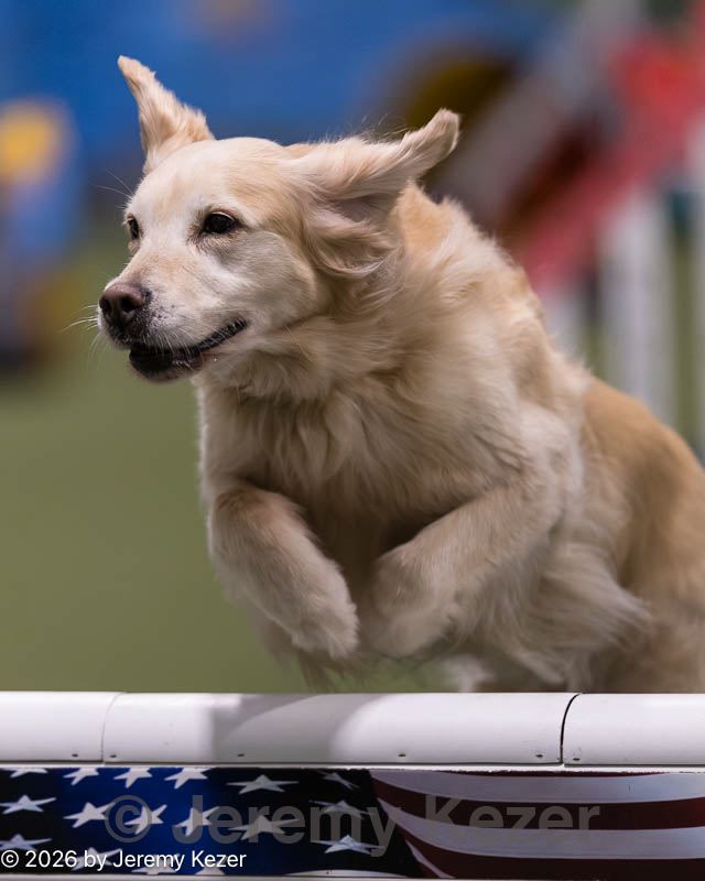 20260221-0090.jpg