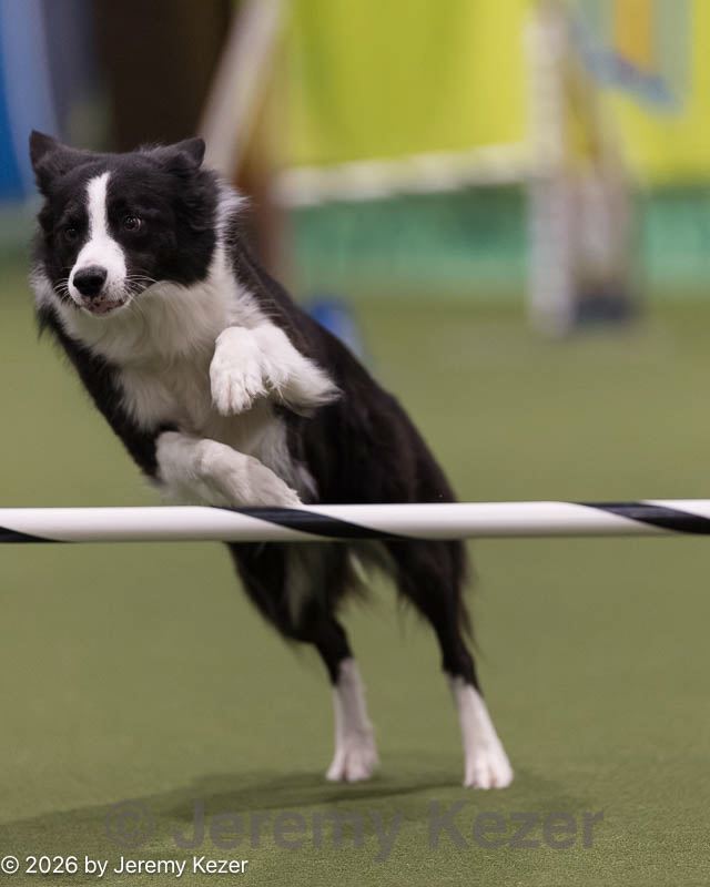 20260221-0091.jpg