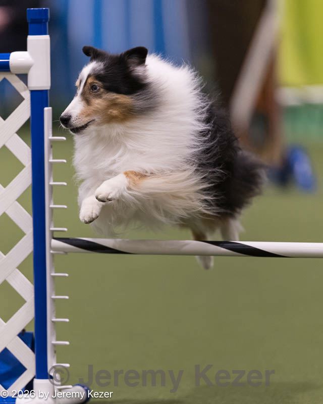 20260221-0106.jpg