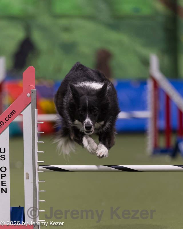20260221-0109.jpg
