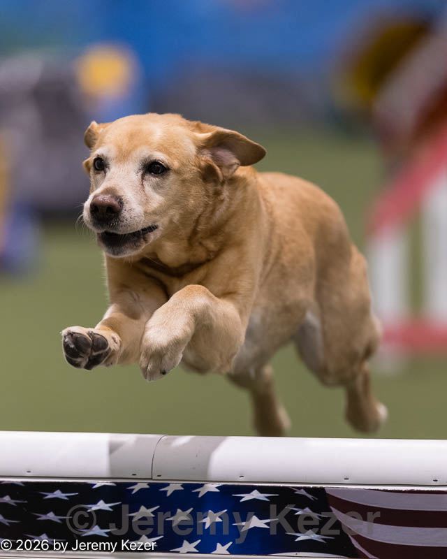 20260221-0112.jpg