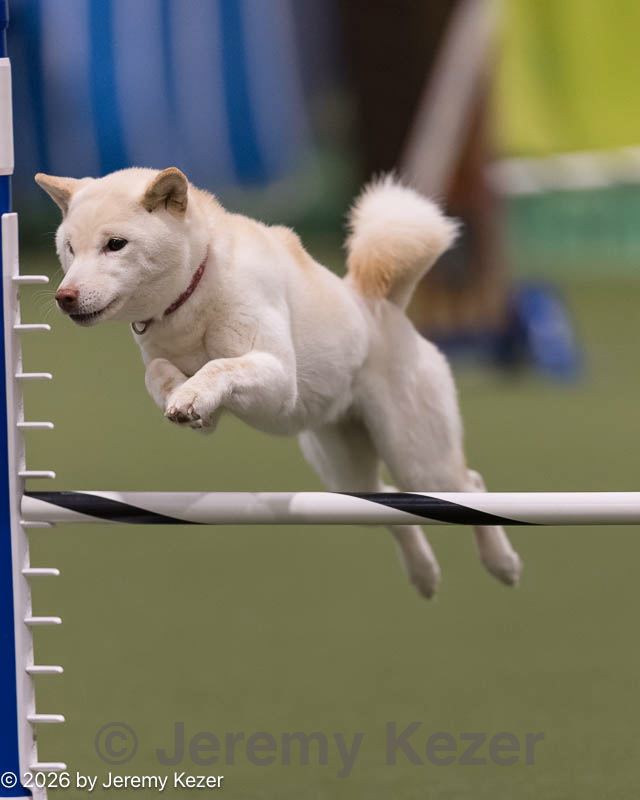 20260221-0114.jpg