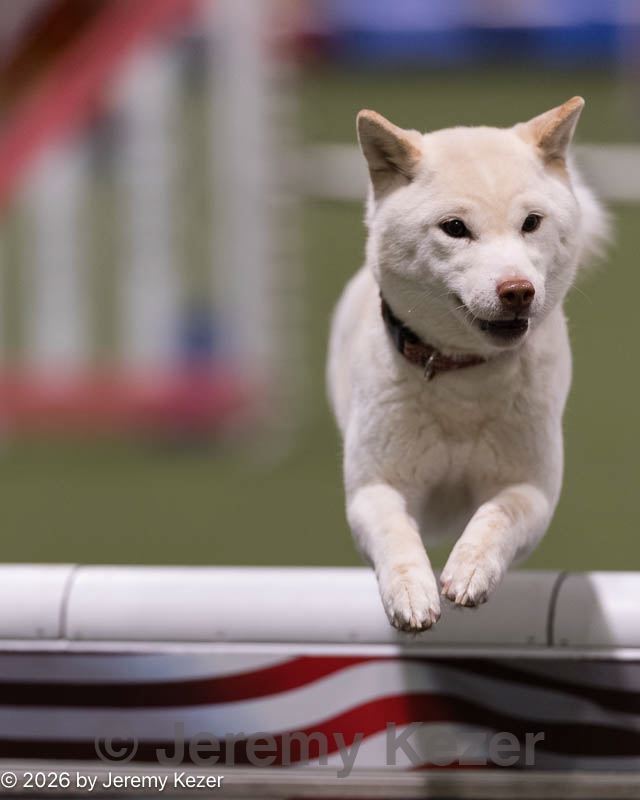 20260221-0116.jpg